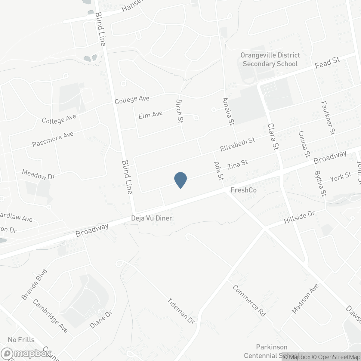 225 ZINA STREET, Orangeville, Ontario L9W 1E9
